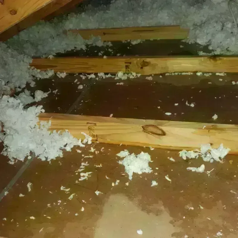 Attic Water Damage in Indian Mountain Lake, PA