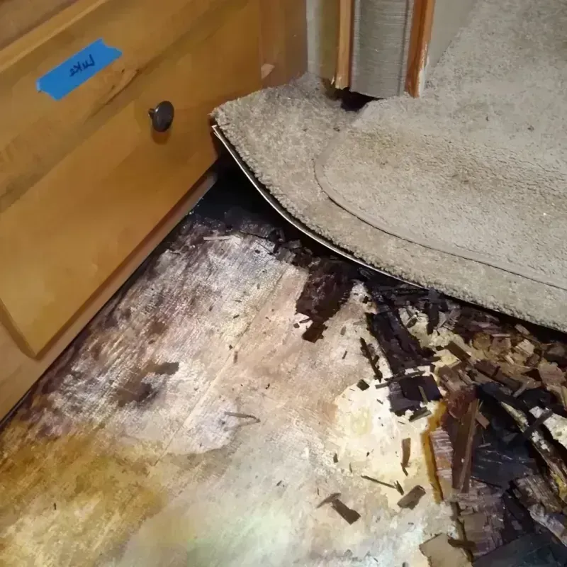 Wood Floor Water Damage in Indian Mountain Lake, PA